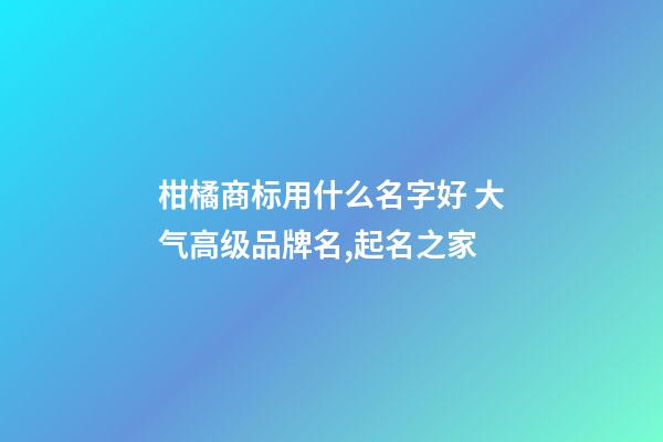 柑橘商标用什么名字好 大气高级品牌名,起名之家-第1张-商标起名-玄机派